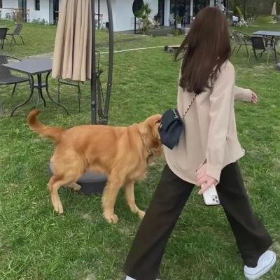 聪明人